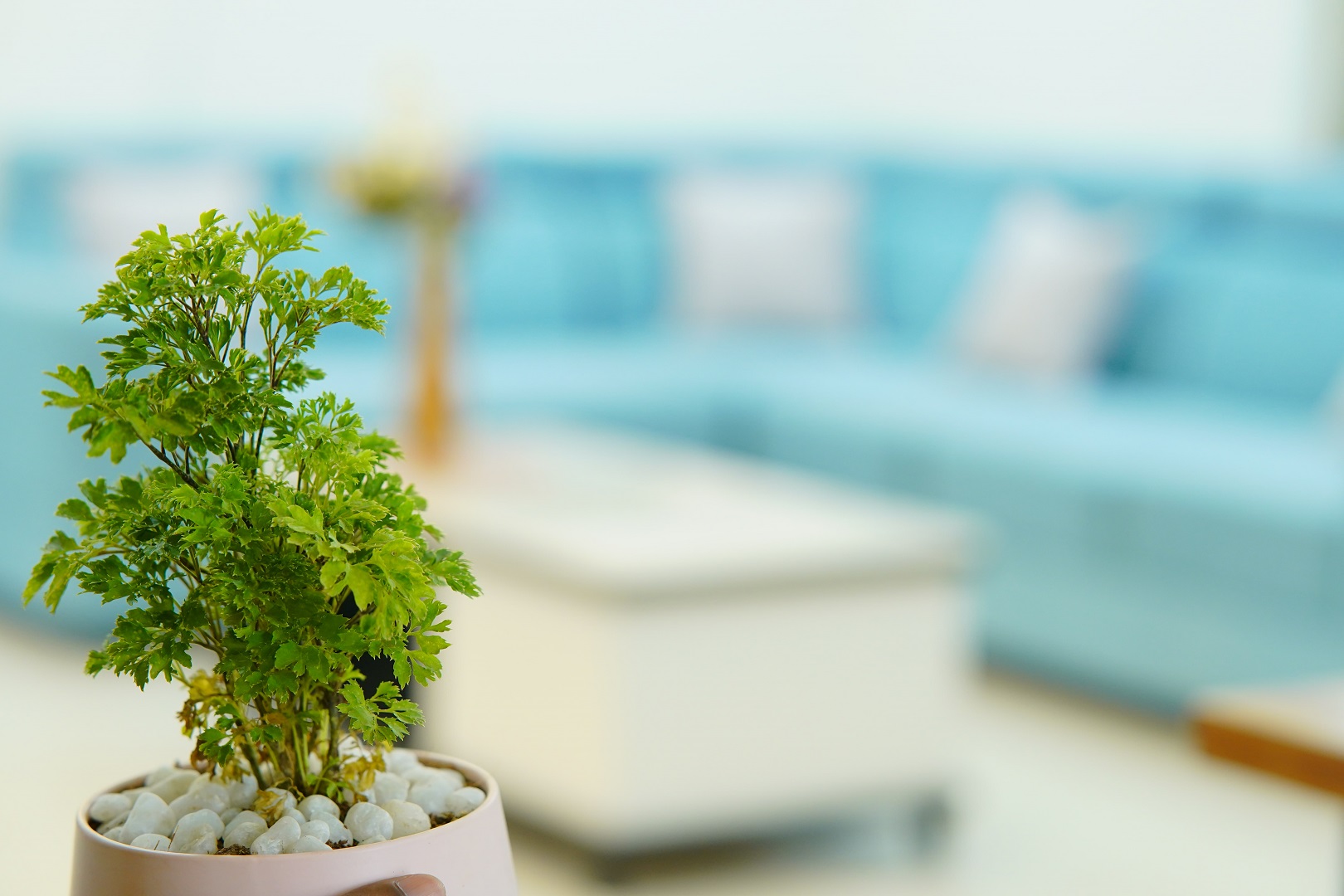 Priya Woodz Homestay slide 9